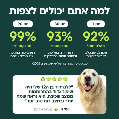 חטיפים לעיסים לבריאות המפרקים & והירכיים