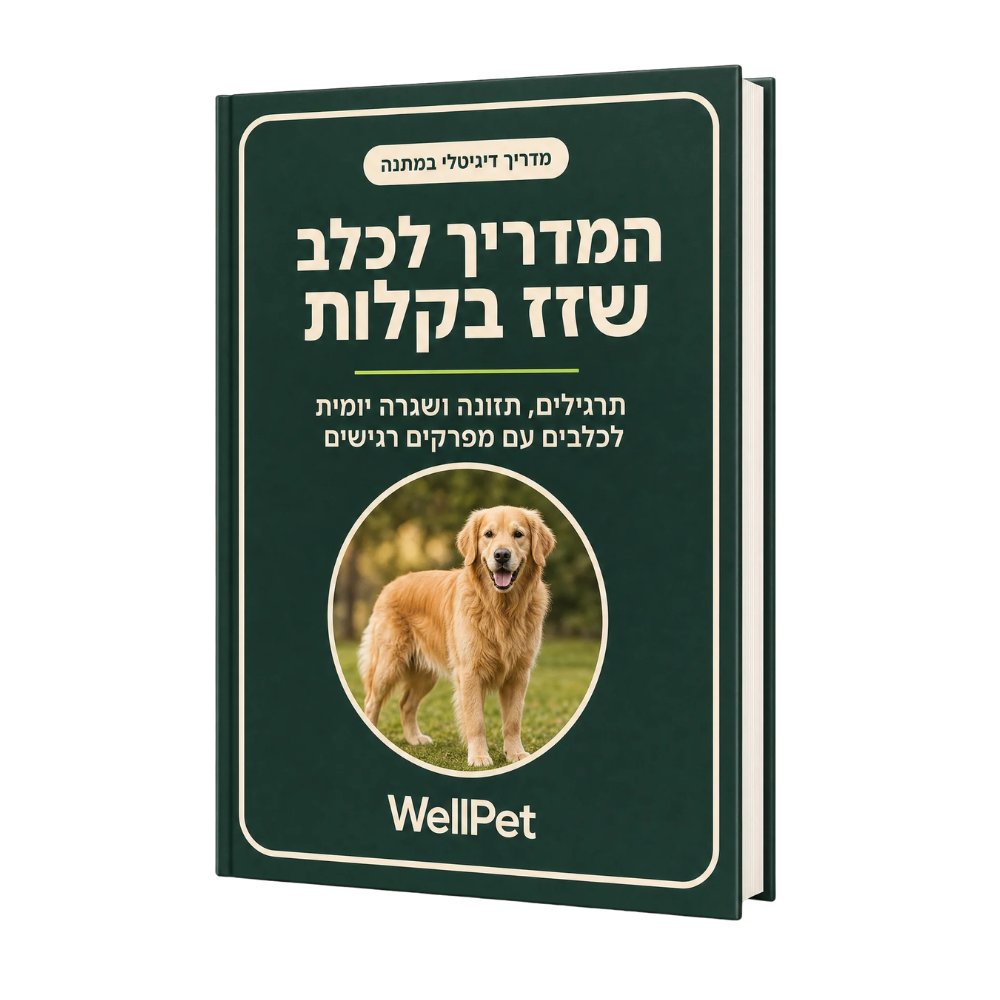 המדריך לכלב שזז בקלות