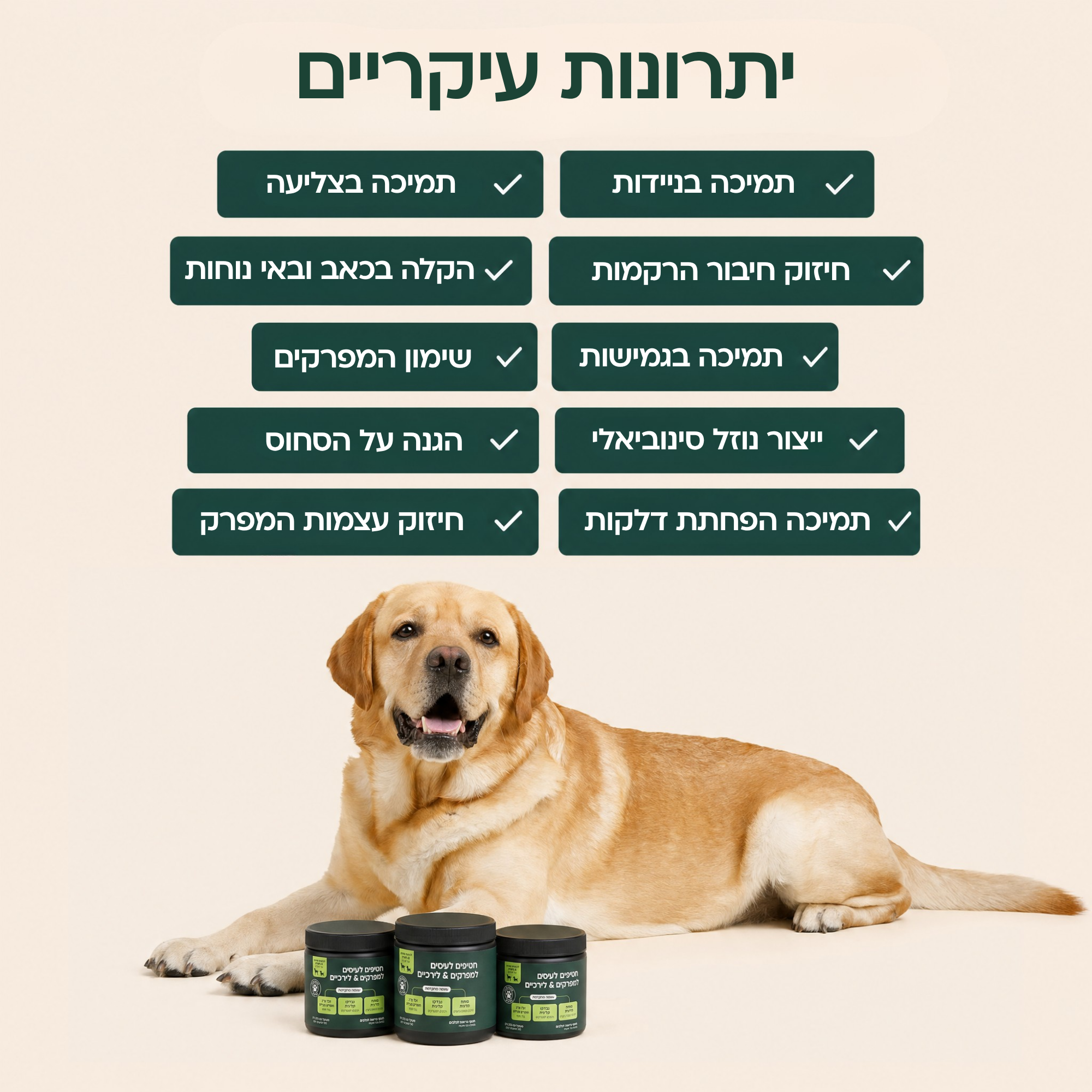 חטיפים לעיסים לבריאות המפרקים & והירכיים
