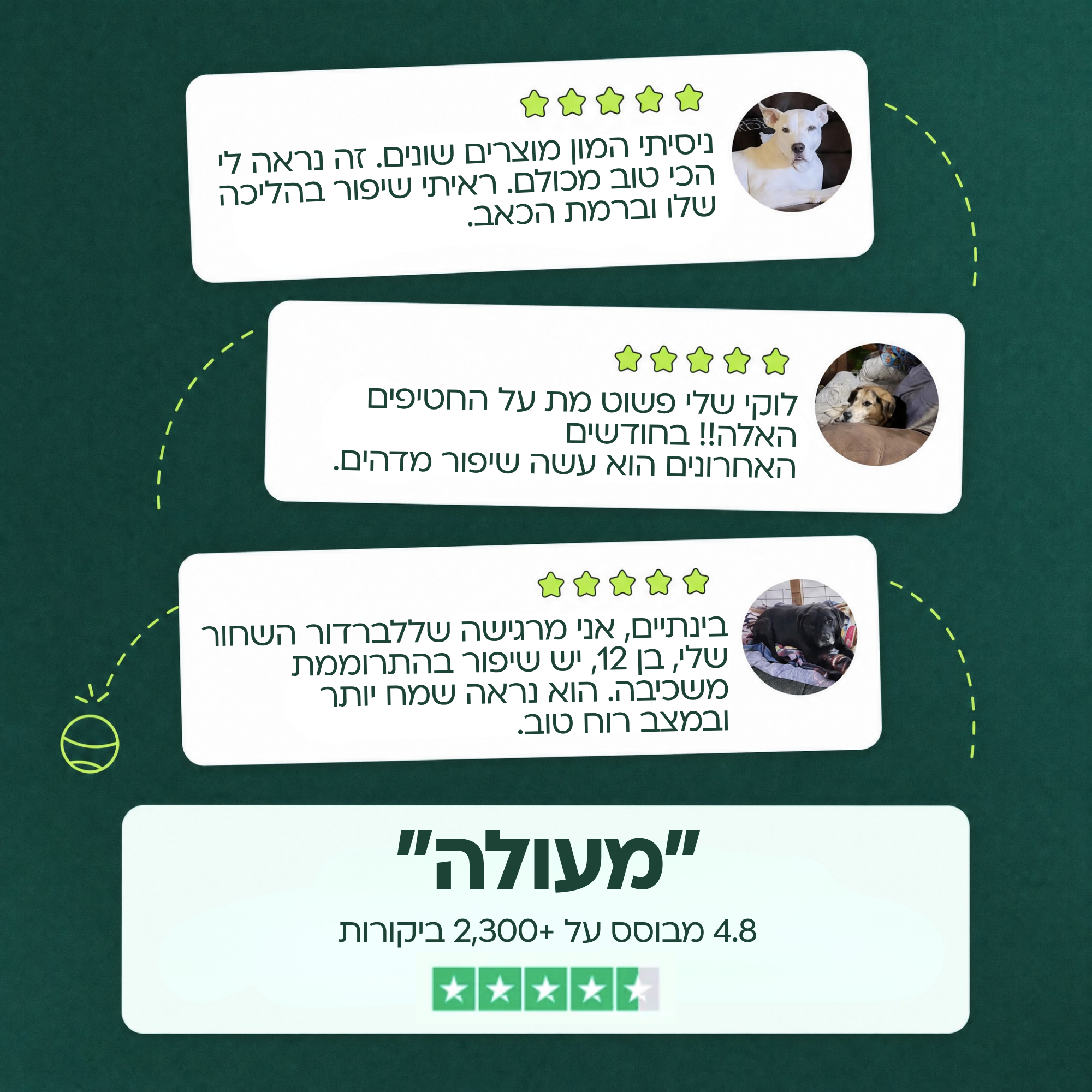 חטיפים לעיסים לבריאות המפרקים & והירכיים