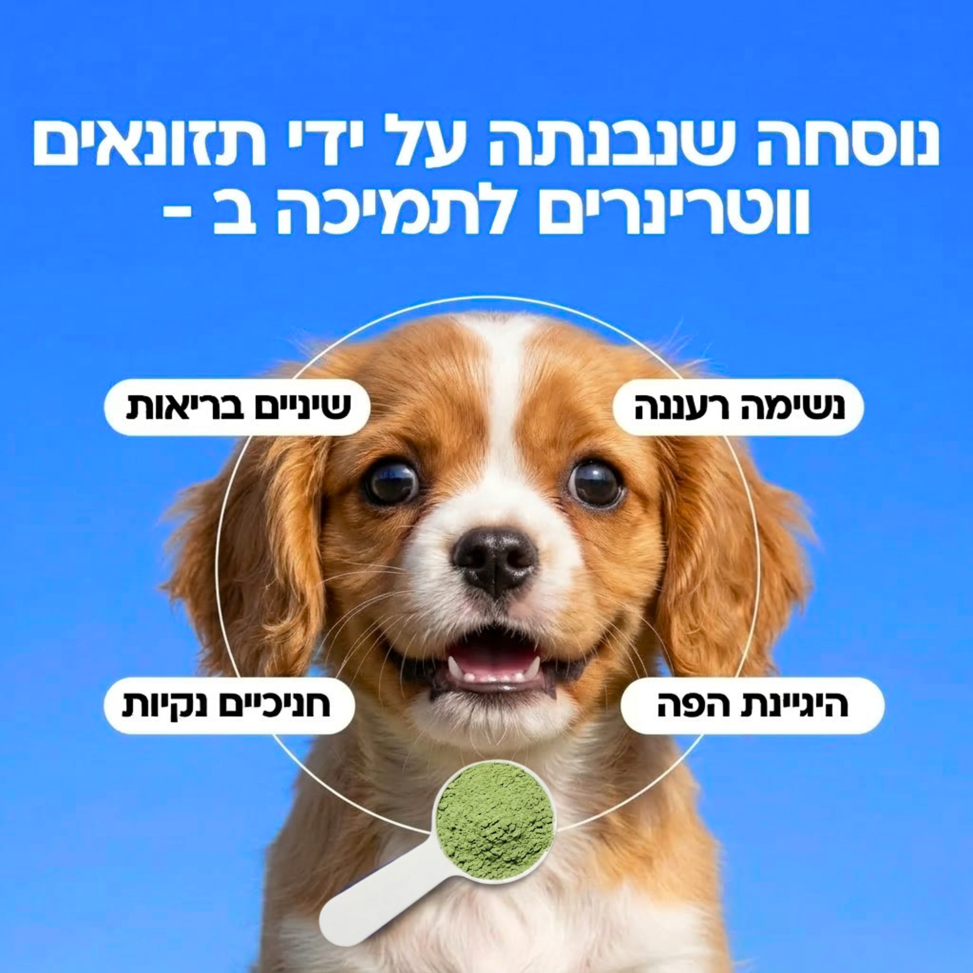 BrightPro® | אבקה דנטלית מתקדמת לכלבים