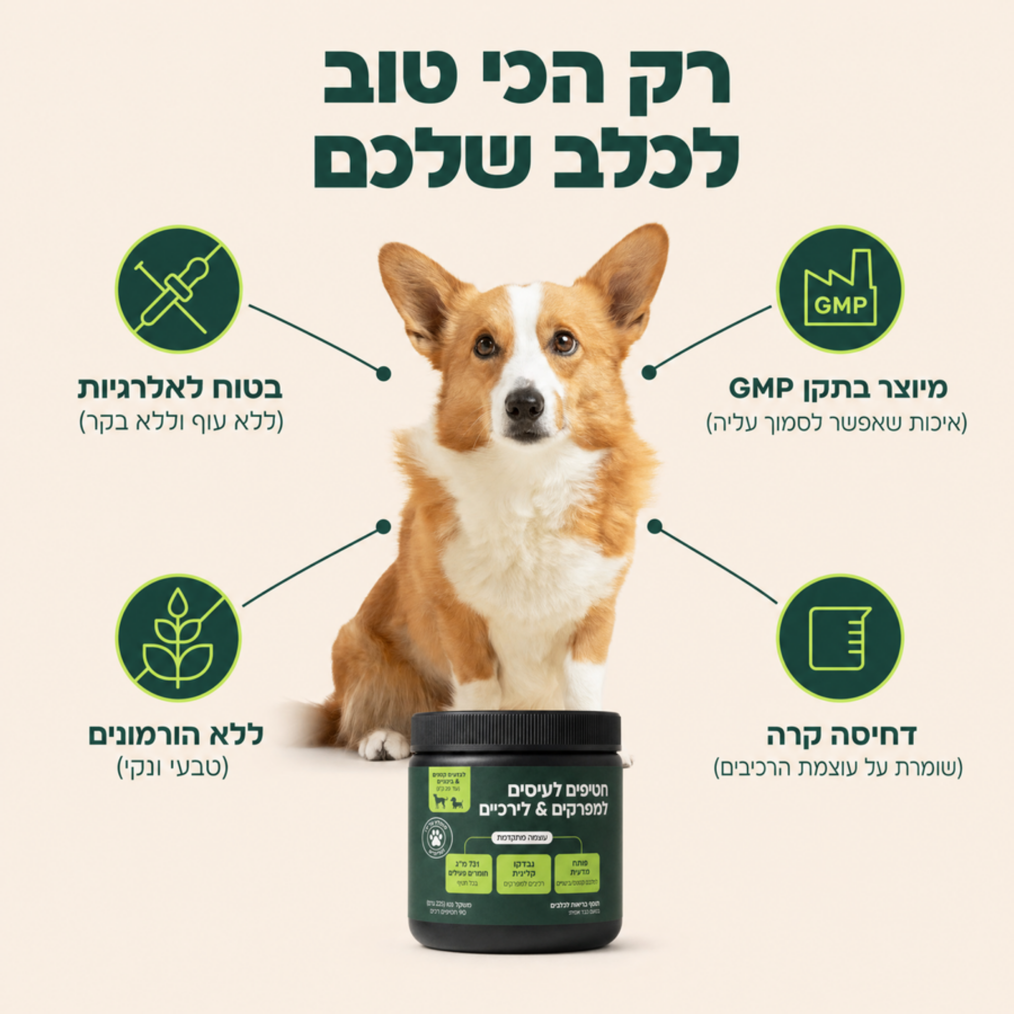 חטיפים לעיסים לבריאות המפרקים & והירכיים