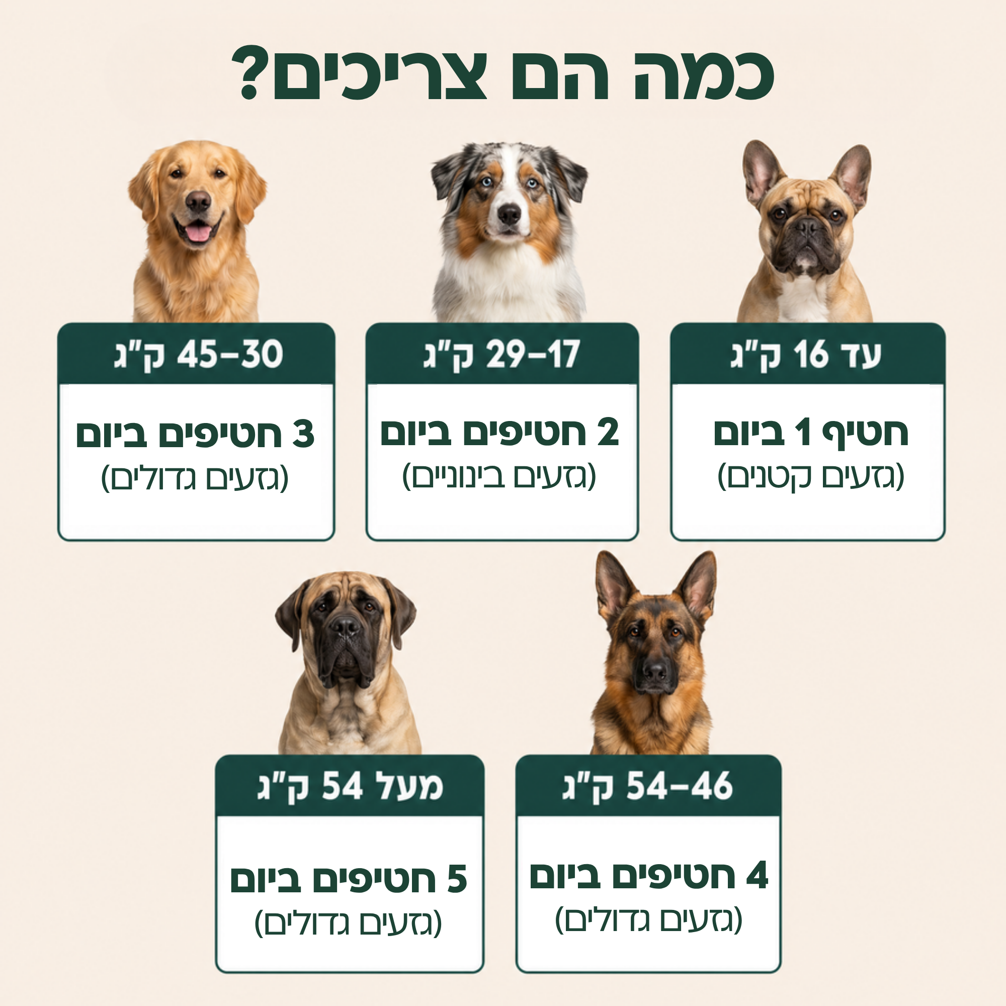 חטיפים לעיסים לבריאות המפרקים & והירכיים