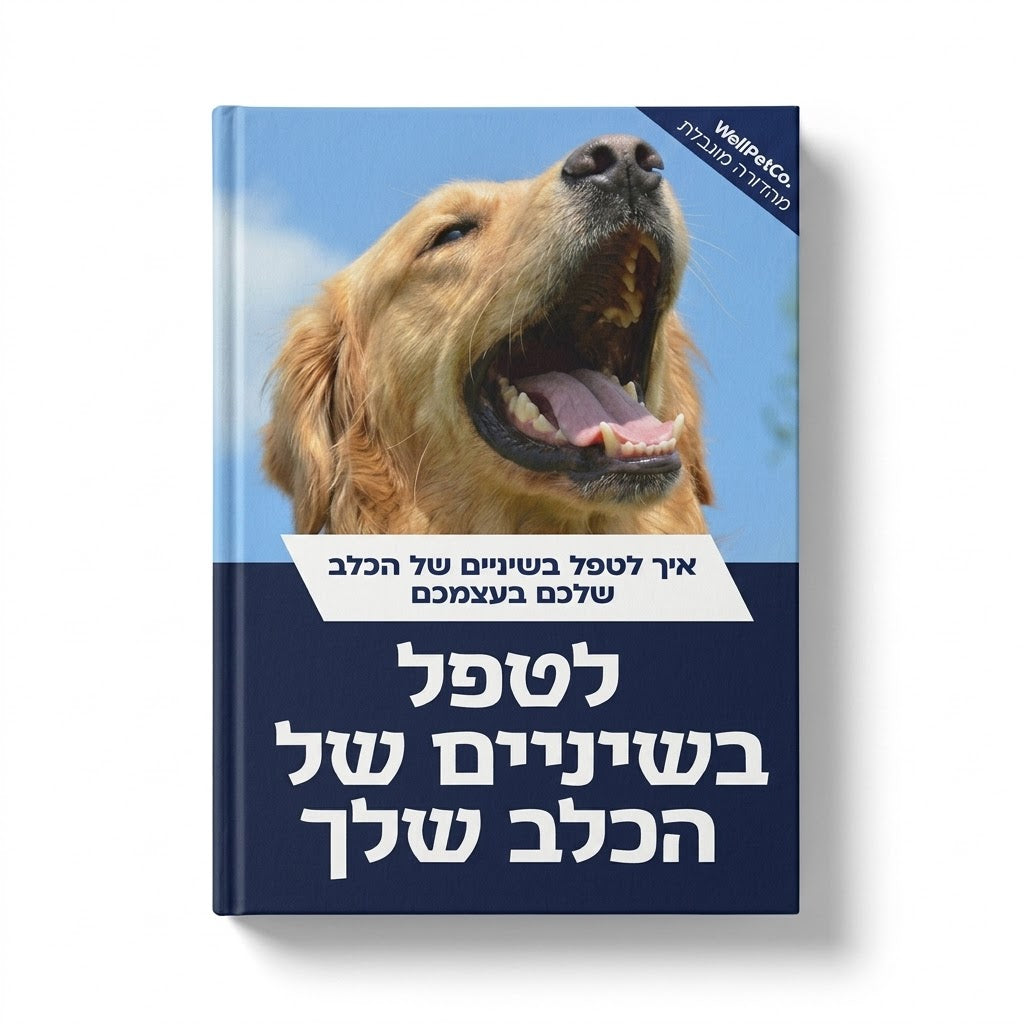 ספר דיגיטלי